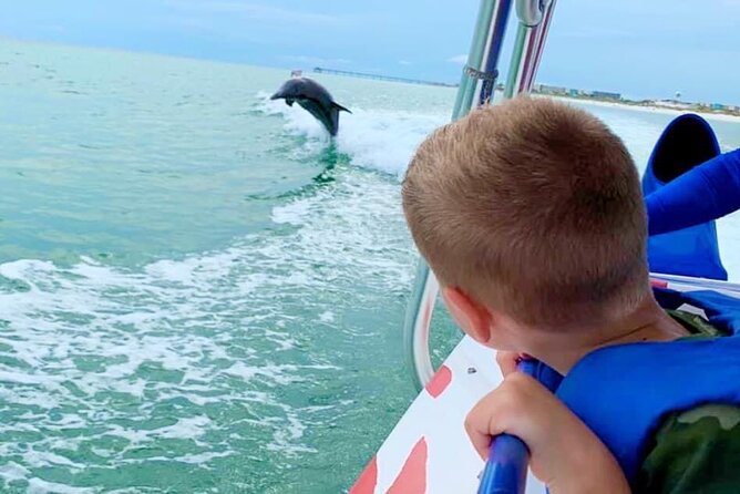 Dolphin-Watching Speedboat Cruise in Destin Harbor - Key points to know before boarding