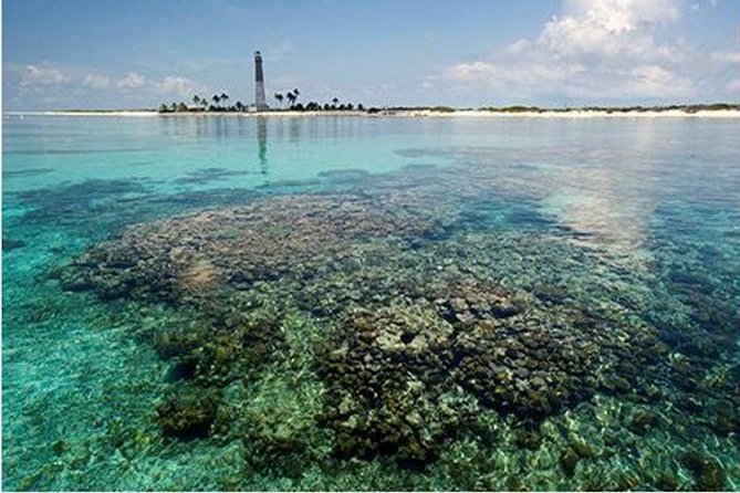 Dry Tortugas National Park Day Trip by Catamaran from Key West - Who should book this Dry Tortugas trip?