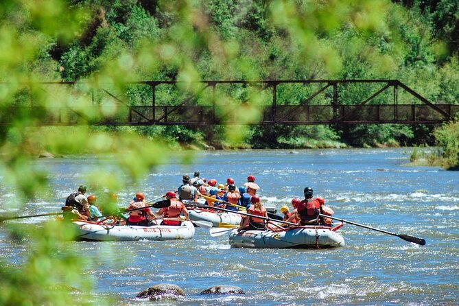 Durango Half Day Rafting Trip - Lower Animas River - Cold Water, Sun, And What To Wear