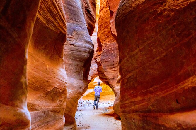 East Zion Crimson Canyon Hike & UTV Adventure - How much value do you get for $129.91?