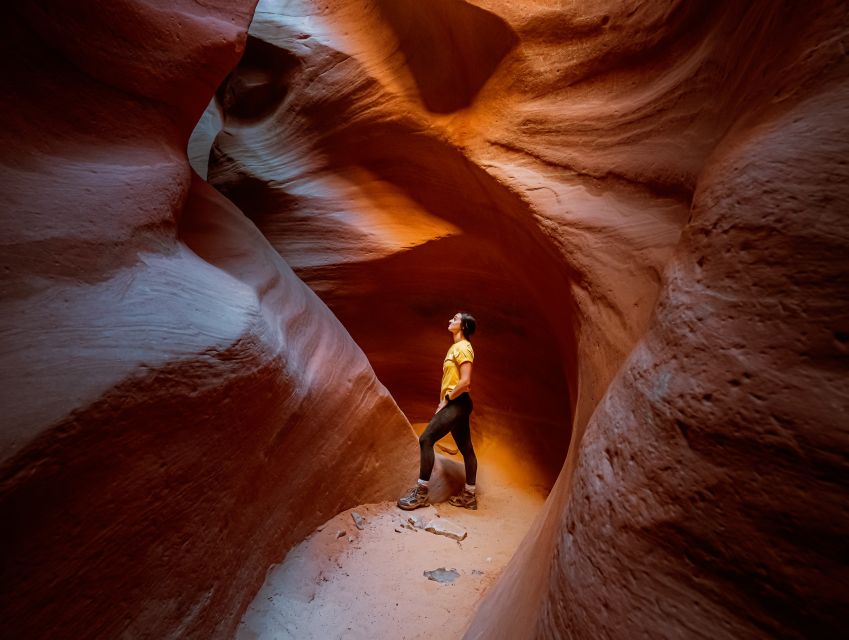 East Zion: Crimson Slot Canyon Exploration and UTV Tour - Key points to know before you book