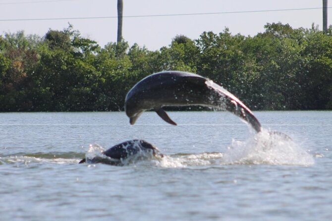 Easy Ride Pedal Kayak Tour Marco Island & Naples (Pedal or Paddle - Starting at Capri Paddlecraft Park