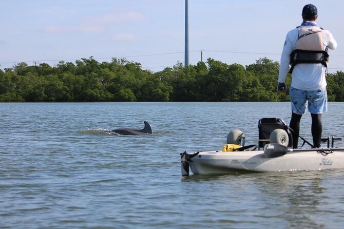 Easy Ride Pedal Kayak Tour Marco Island & Naples (Pedal or Paddle - The open-water sections and possible cooling stop