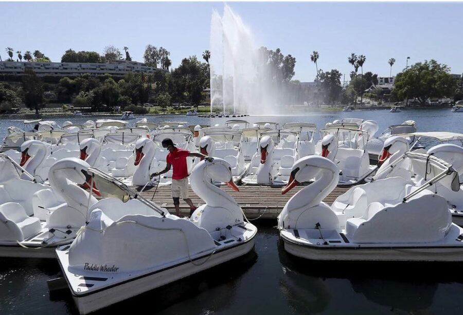 Echo Park Lake: Swan Pedal Boat Rental - What the Echo Park Lake ride feels like