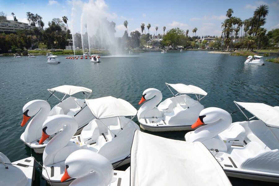 Echo Park Lake: Swan Pedal Boat Rental - Starting with orientation and safety instructions
