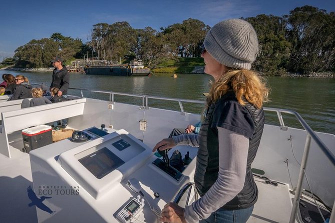 Elkhorn Slough Wildlife Tour - The naturalist can make or break the outing