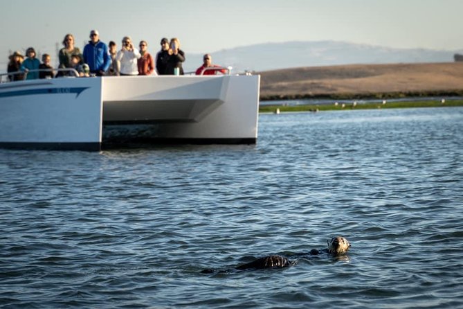 Elkhorn Slough Wildlife Tour - Comfort, weather, and what to bring