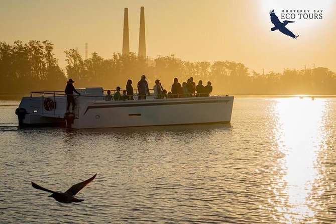 Elkhorn Slough Wildlife Tour - Is $45 a fair price?