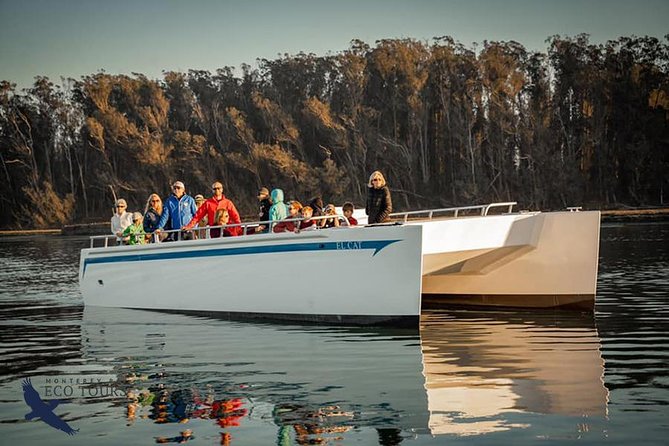 Elkhorn Slough Wildlife Tour - Who should book this tour?