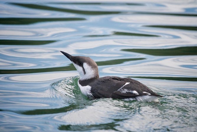 Elkhorn Slough Wildlife Tour - Booking, timing, and cancellation details