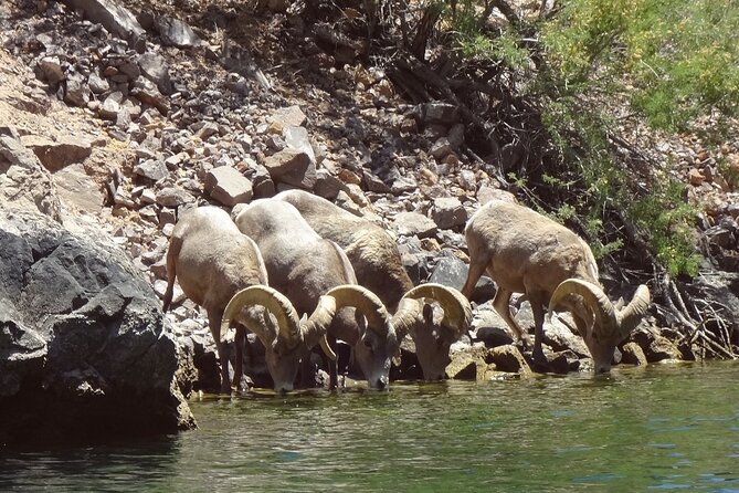 Emerald Cave & Black Canyon Kayak Tour with Vegas Pickup - What the three hours feel like