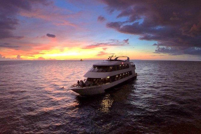 Evening Yacht Cruise with Optional Dining in St. Petersburg - Key points to know before you book