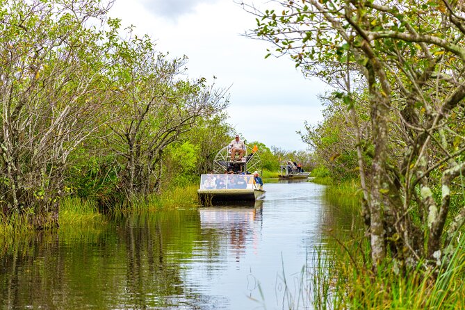 Everglades Airboat Safari Adventure with Transportation - Wildlife: exciting, but never promised
