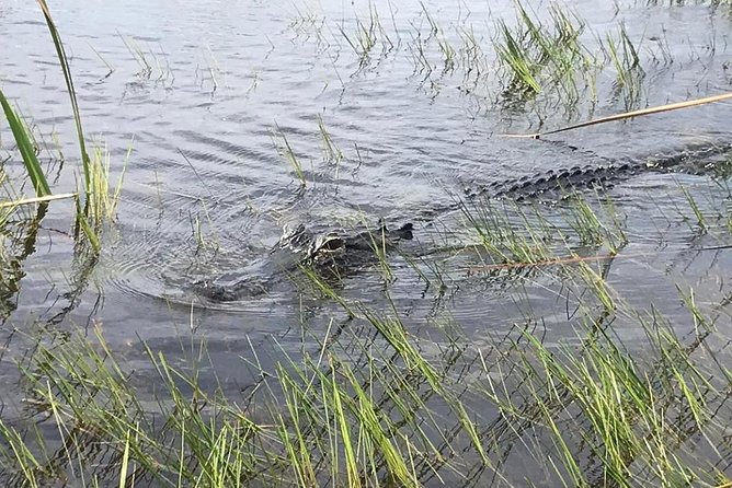 Everglades Airboat Safari Adventure with Transportation - Who will enjoy this outing most
