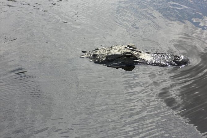 Everglades Airboat Tour from Fort Lauderdale with transportation - Reaching Dania Beach and boarding the airboat