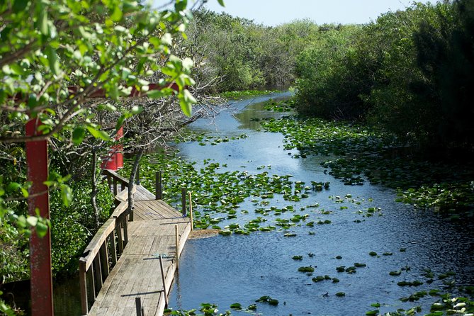 Everglades Airboat, Wildlife Show, and Roundtrip Bus From Miami - How much wildlife will you see?