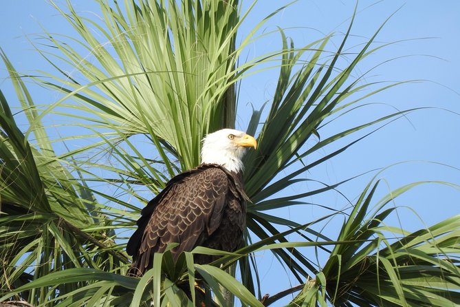 Everglades Day Safari from Fort Myers/Naples Area - Smallwood Store and the story of island life