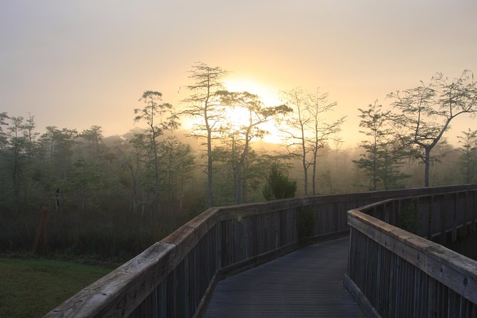Everglades Day Safari from Fort Myers/Naples Area - Fakahatchee Strand and the cypress-forest walk
