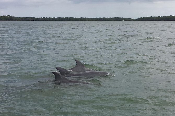 Everglades Day Safari from Fort Myers/Naples Area - Guides, group size, and the human side of the day
