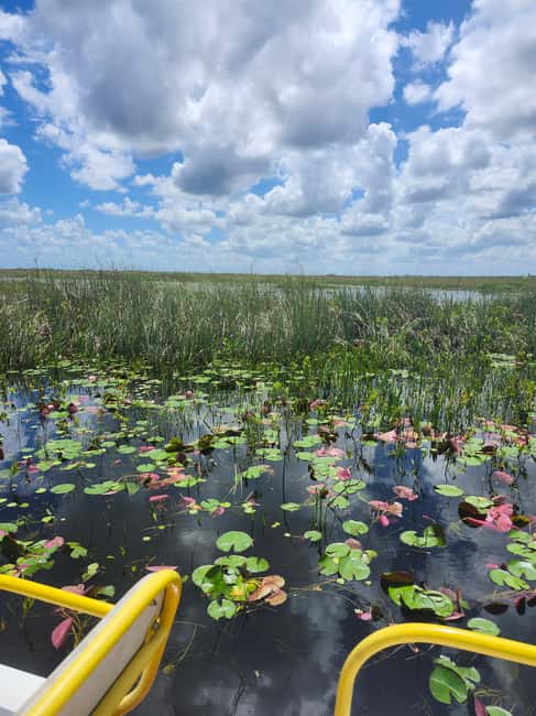 Everglades Eco Airboat Small-Group Tour & 2 Private Islands - Why this Everglades trip feels different