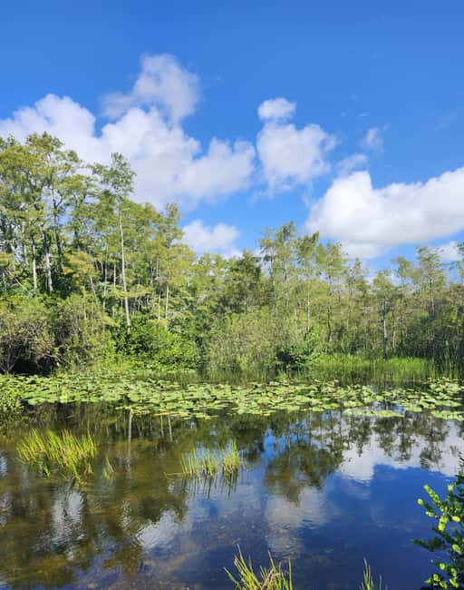 Everglades Eco Airboat Small-Group Tour & 2 Private Islands - From Miami hotels to the River of Grass