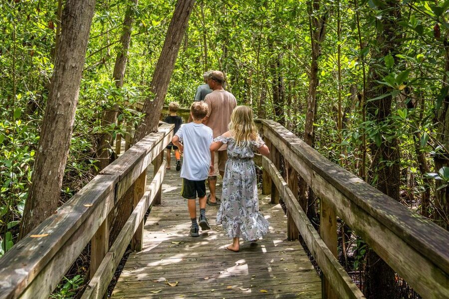 Everglades: Mangrove Maze Airboat Tour and Boardwalk - Who will enjoy this outing most?