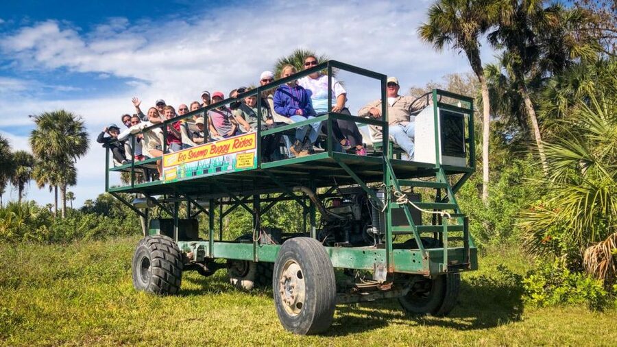 Everglades: Mangrove Maze Airboat Tour and Boardwalk - What the 50-minute airboat ride feels like
