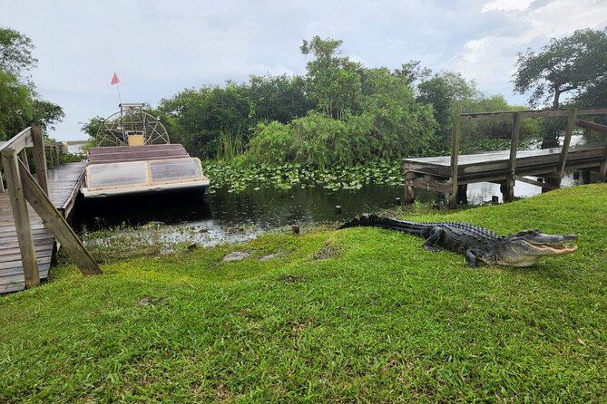 Everglades National Park Biologist Led Adventure: Cruise, Hike + Airboat - Smallwood Store and Old Florida history