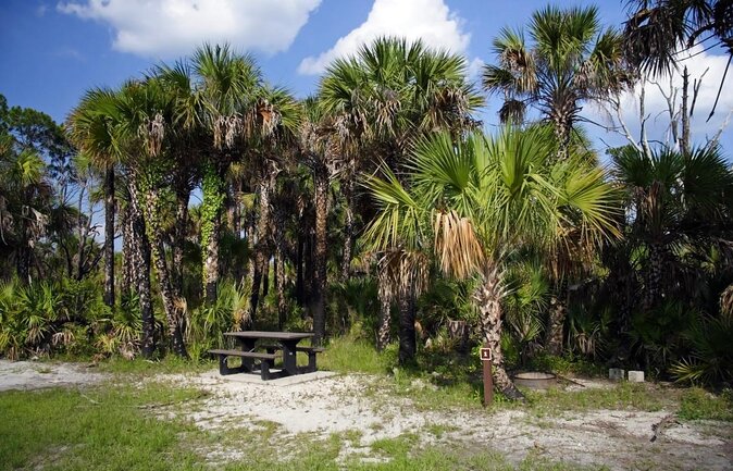 Everglades National Park Biologist Led Adventure: Cruise, Hike + Airboat - Early pickup from Fort Lauderdale and Miami