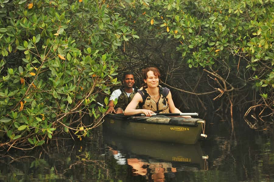 Everglades National Park: Mangrove Tunnel Kayak Eco-Tour - The natural arches of the mangrove forest