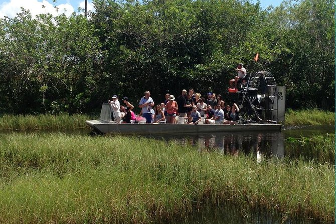 Everglades Small-Group Tour from Miami with Transportation - The alligator presentation and wildlife areas