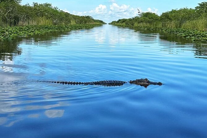 Everglades Small-Group Tour from Miami with Transportation - Is $82.98 a fair price?