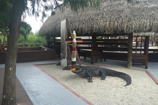 Everglades Small-Group Tour from Miami with Transportation - Leaving Miami in a Mercedes Sprinter van