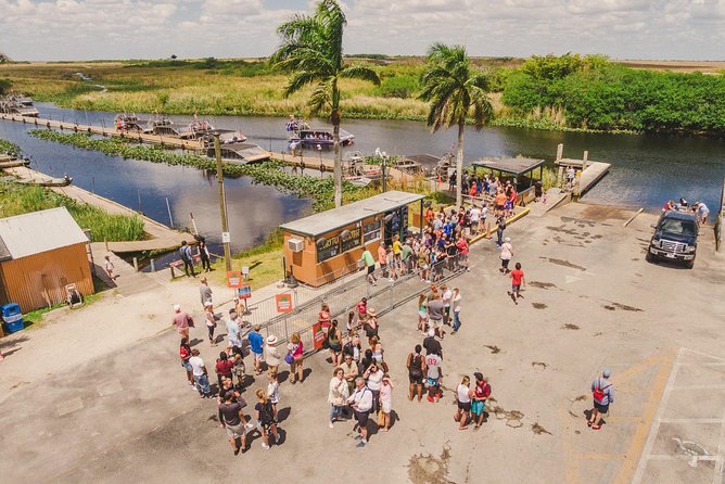 Everglades VIP Airboat Tour with Transportation Included - The alligator show: an important clarification