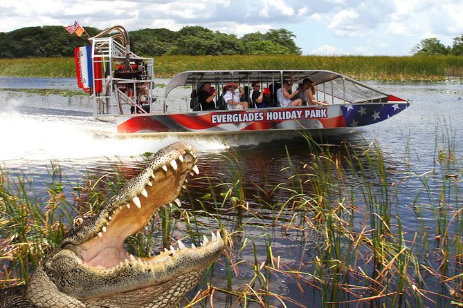 Everglades VIP Airboat Tour with Transportation Included - What the guides add to the outing