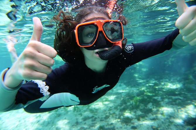 Exclusive Small Group VIP Heated Manatee Snorkel Tour - Is $108.93 a good value?