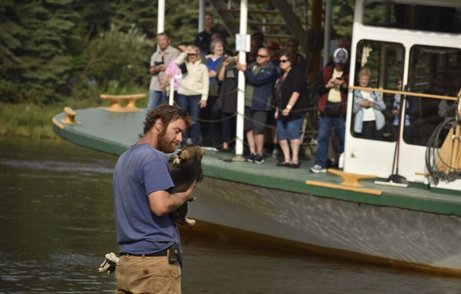 Fairbanks: Riverboat Cruise and Local Village Tour - The first hour on the Chena River