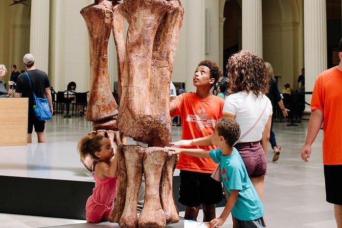 Field Museum of Natural History Admission Tickets - Jewelry, jade, and objects from around the world