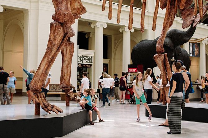 Field Museum of Natural History Admission Tickets - Animals, Tsavo Lions, and Underground Adventure