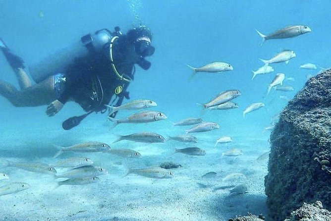 First-Time Scuba Diving in Honolulu + Free Videos - Meeting at Magic Island Lagoon