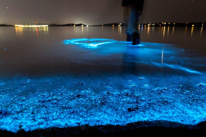 Florida Bioluminescence Kayaking Tour (Titusville) - Key points before you book