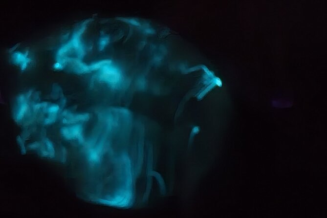 Florida Bioluminescence Kayaking Tour (Titusville) - What the 90-minute route feels like