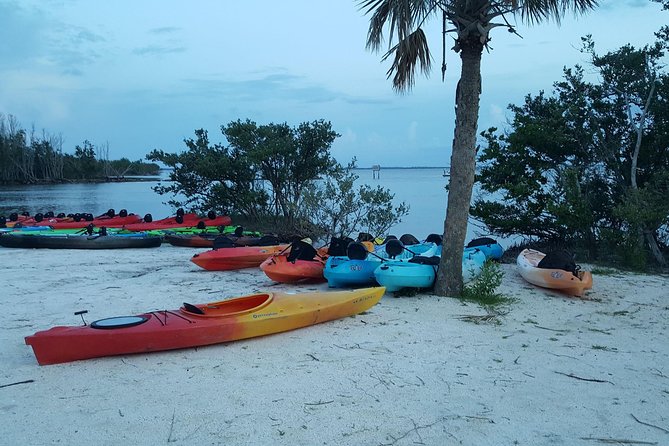 Florida Bioluminescence Kayaking Tour (Titusville) - The bioluminescence: what you may actually see