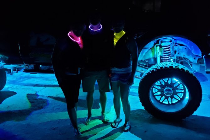 Florida Bioluminescence Kayaking Tour (Titusville) - Wildlife and the sounds of the river