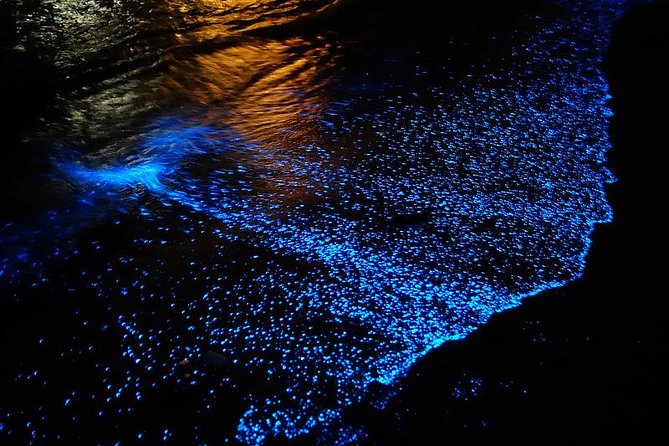 Florida Bioluminescence Kayaking Tour (Titusville) - Getting comfortable in the kayak