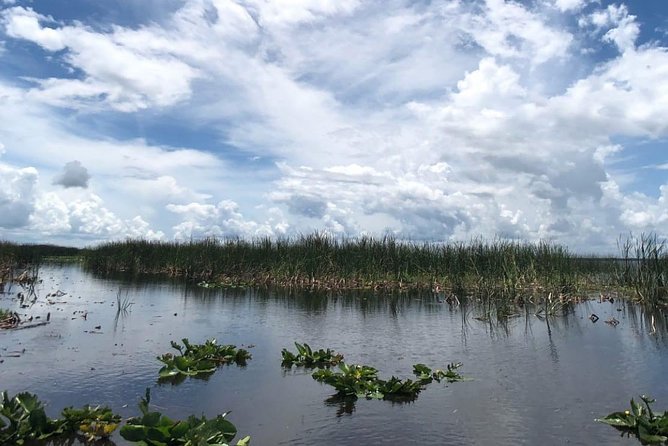 Florida Everglades Airboat Tour and Wild Florida Admission with Optional Lunch - The wildlife park adds real value