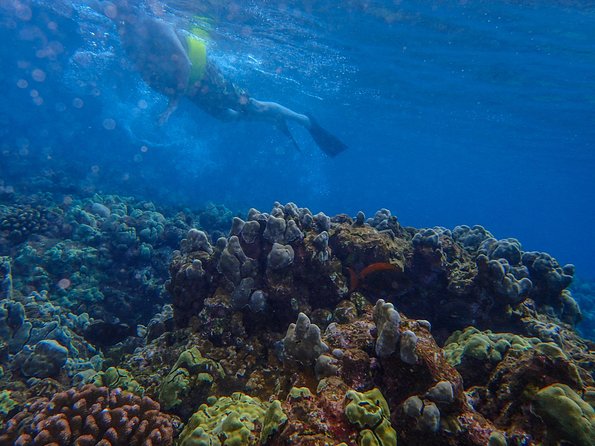 Four Winds Molokini Snorkeling Tour from Maalaea Harbor - The Cruise Across Maui’s South Coast