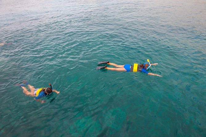 Four Winds Molokini Snorkeling Tour from Maalaea Harbor - Is the $202.59 Price Fair?