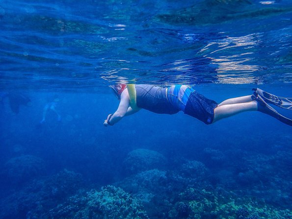 Four Winds Molokini Snorkeling Tour from Maalaea Harbor - Who Will Enjoy This Morning Most?