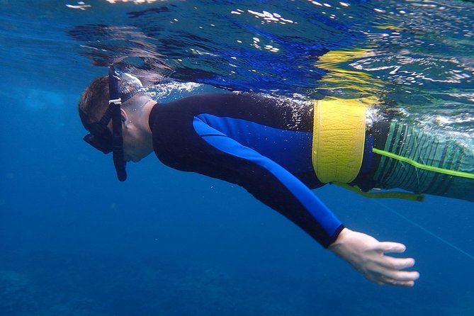 Four Winds Molokini Snorkeling Tour from Maalaea Harbor - Arriving at Molokini Crater